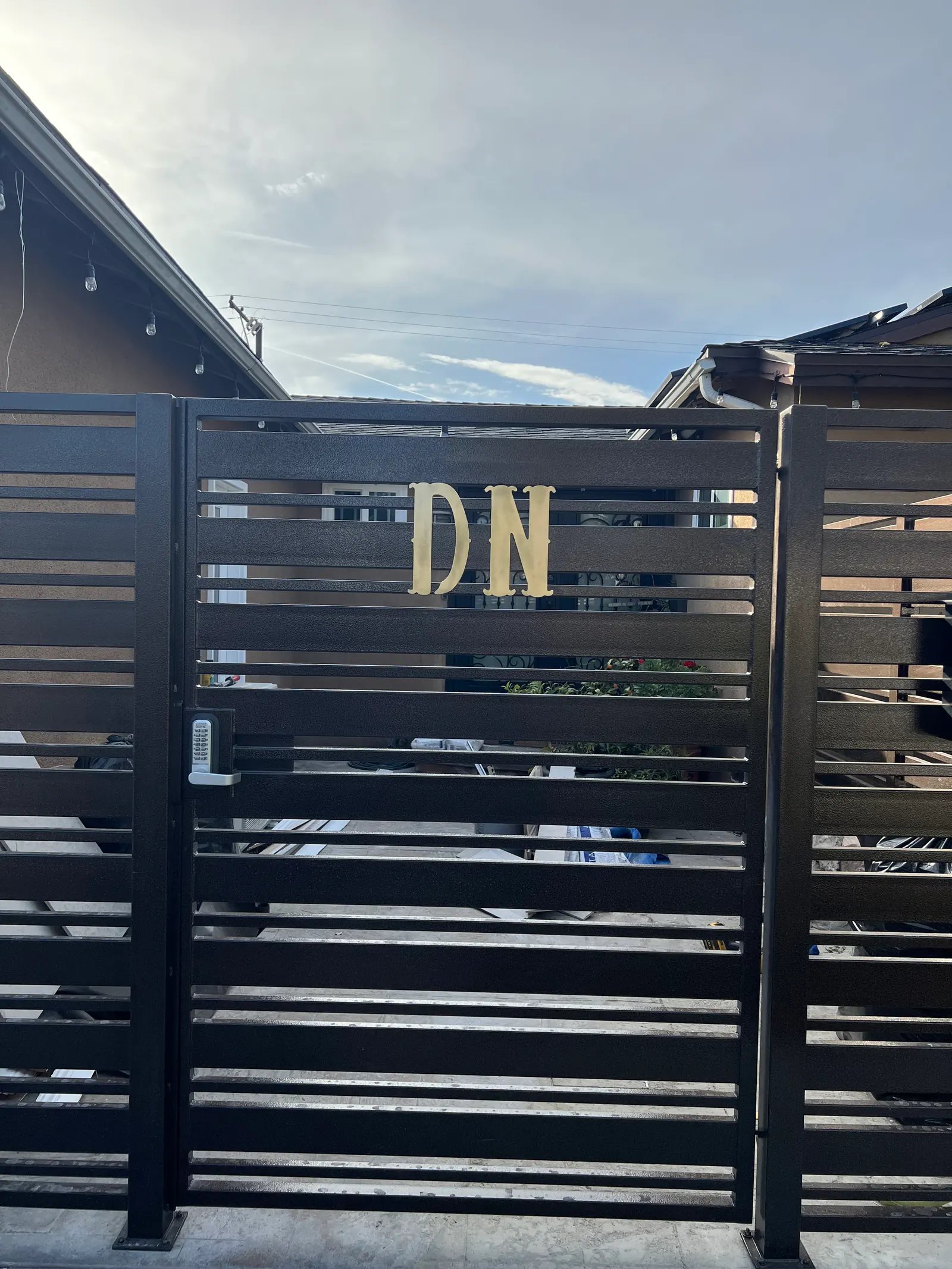 Modern Steel Side Gates