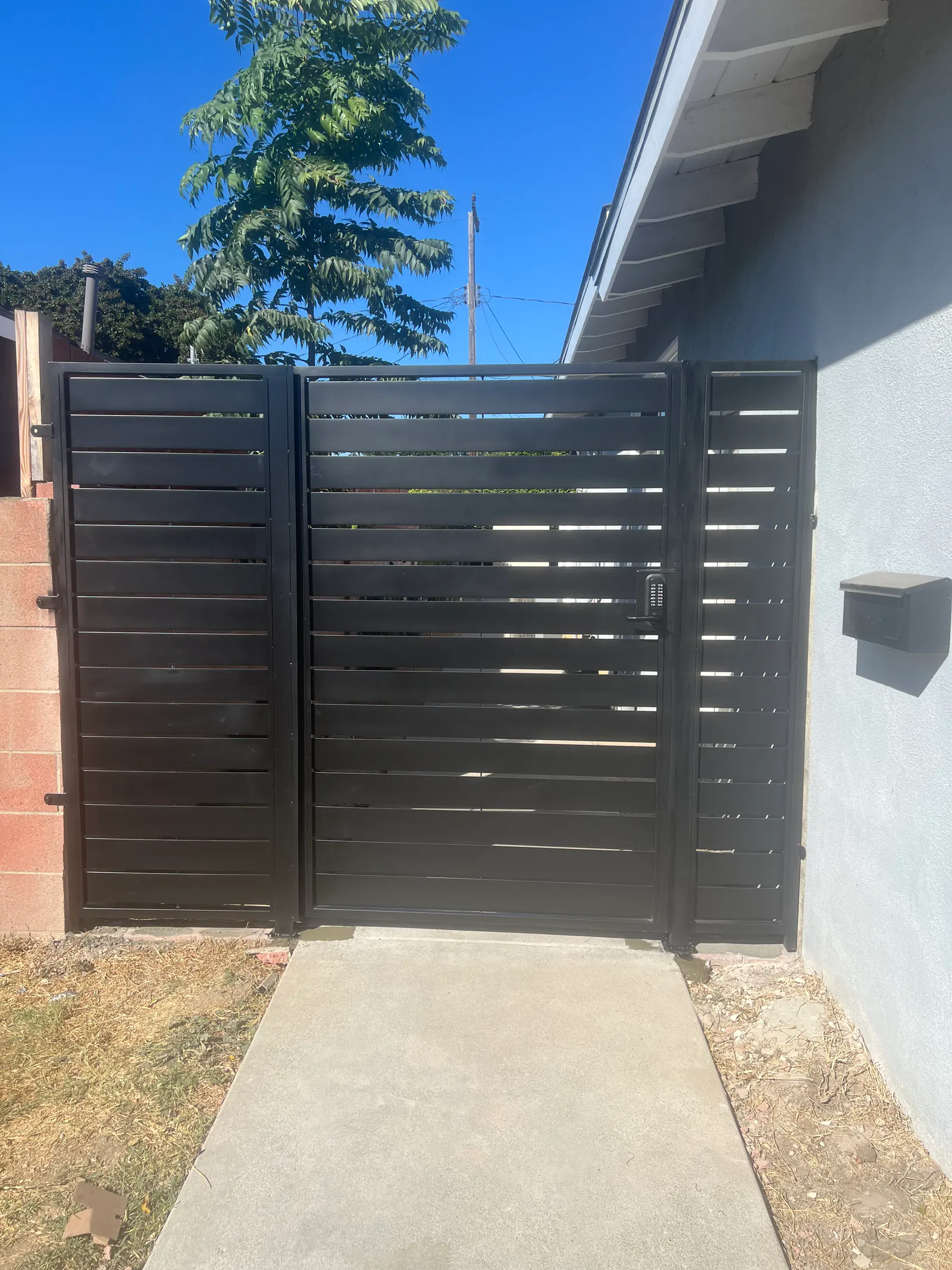 Modern Steel Side Gates