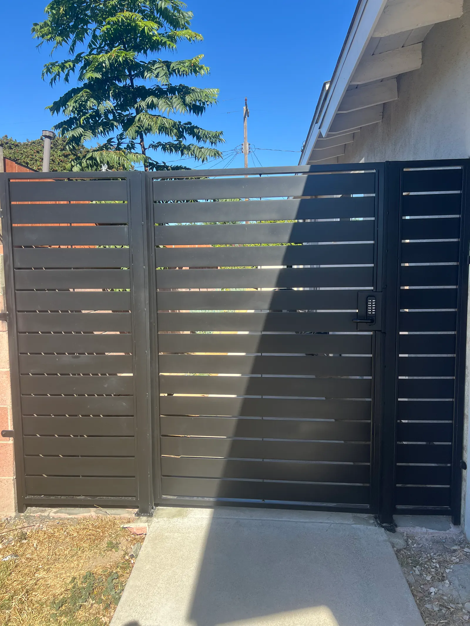 Modern Steel Side Gates