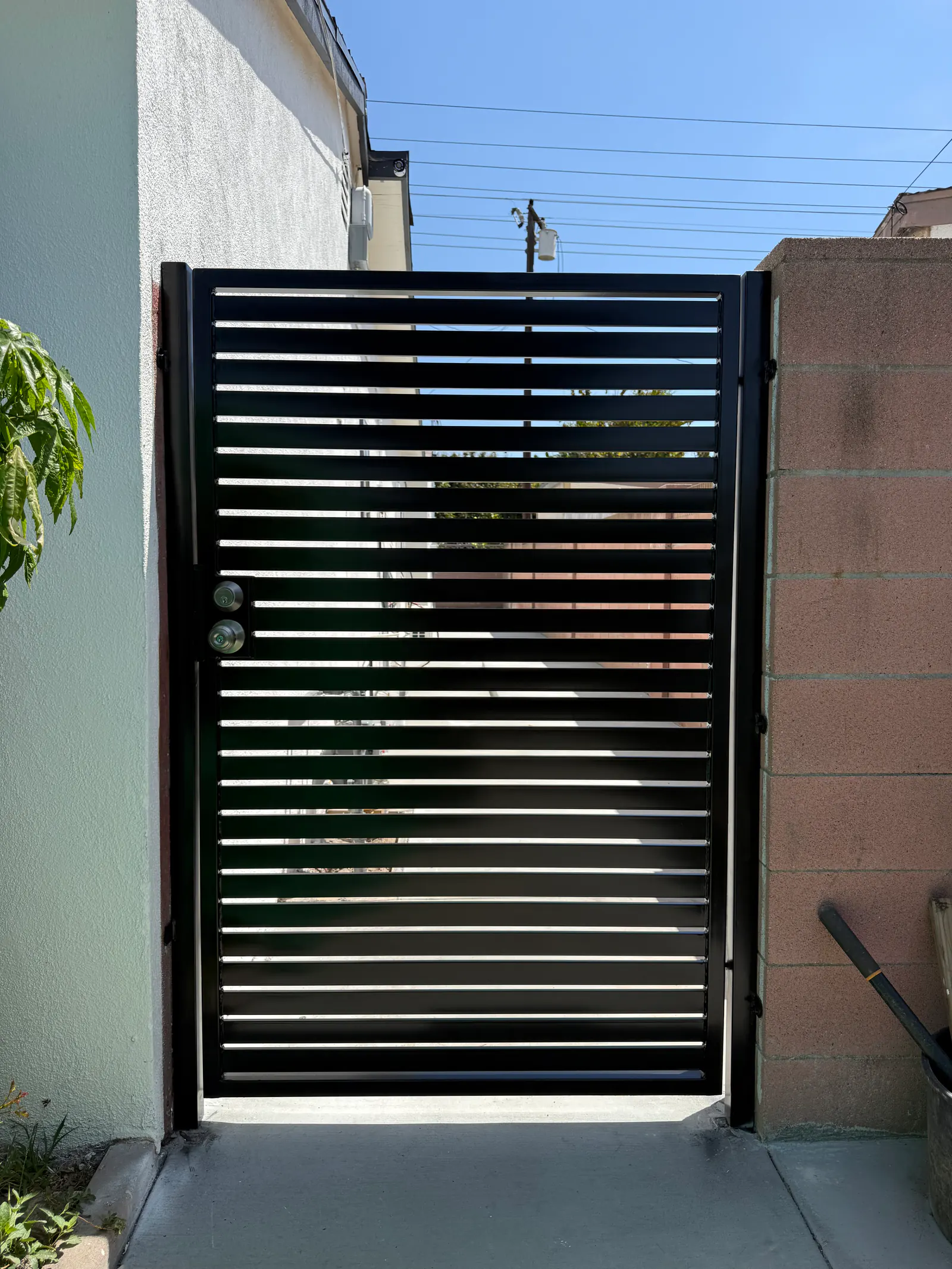 Modern Steel Side Gates