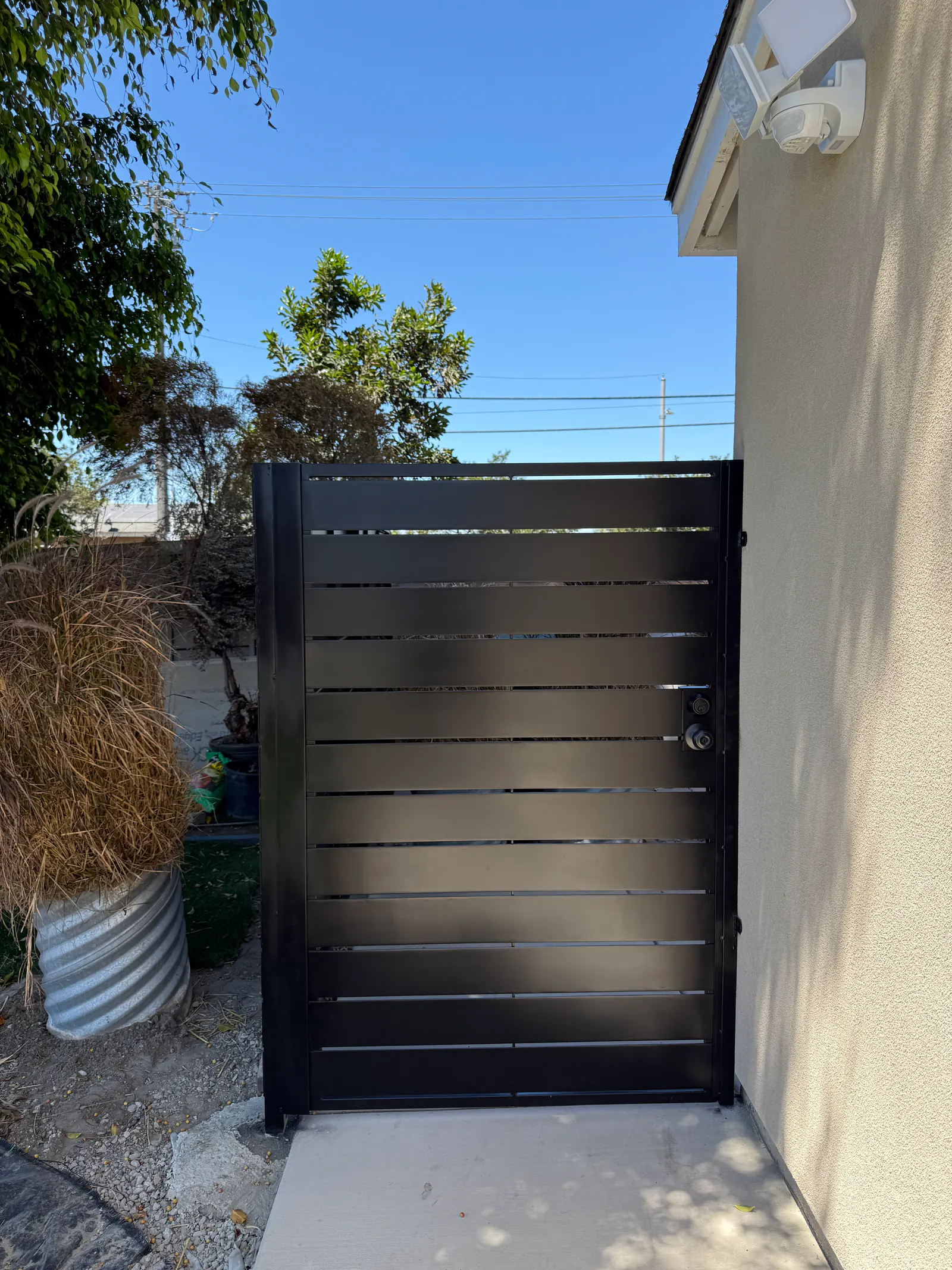 Modern Steel Side Gates