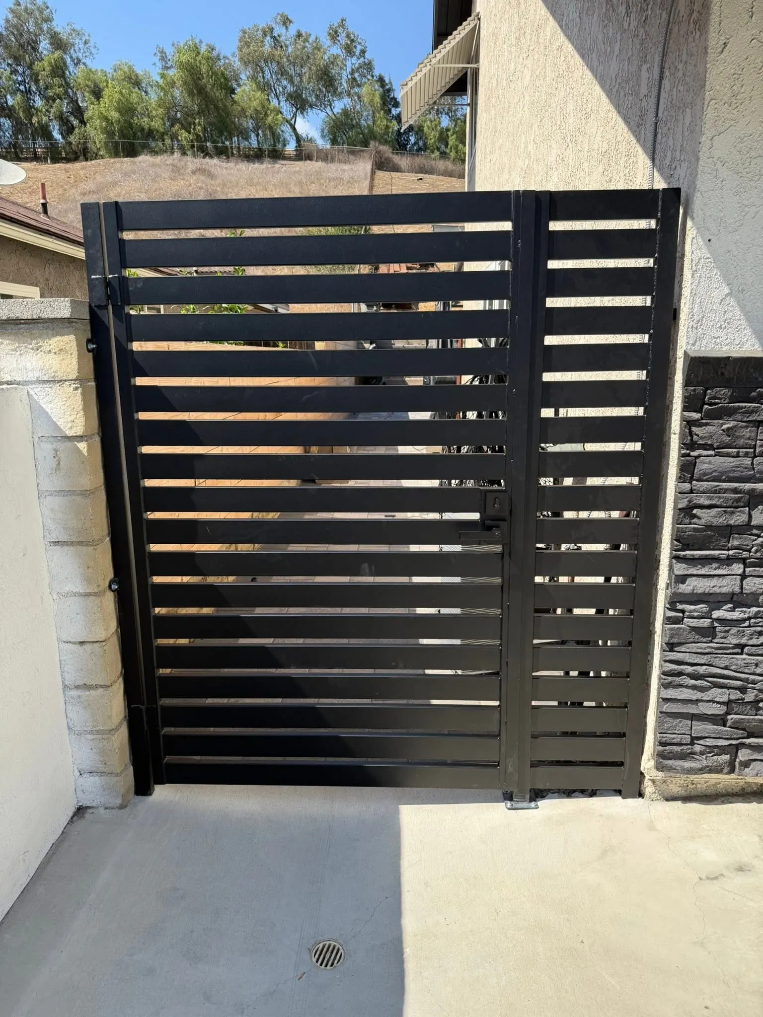 Modern Steel Side Gates