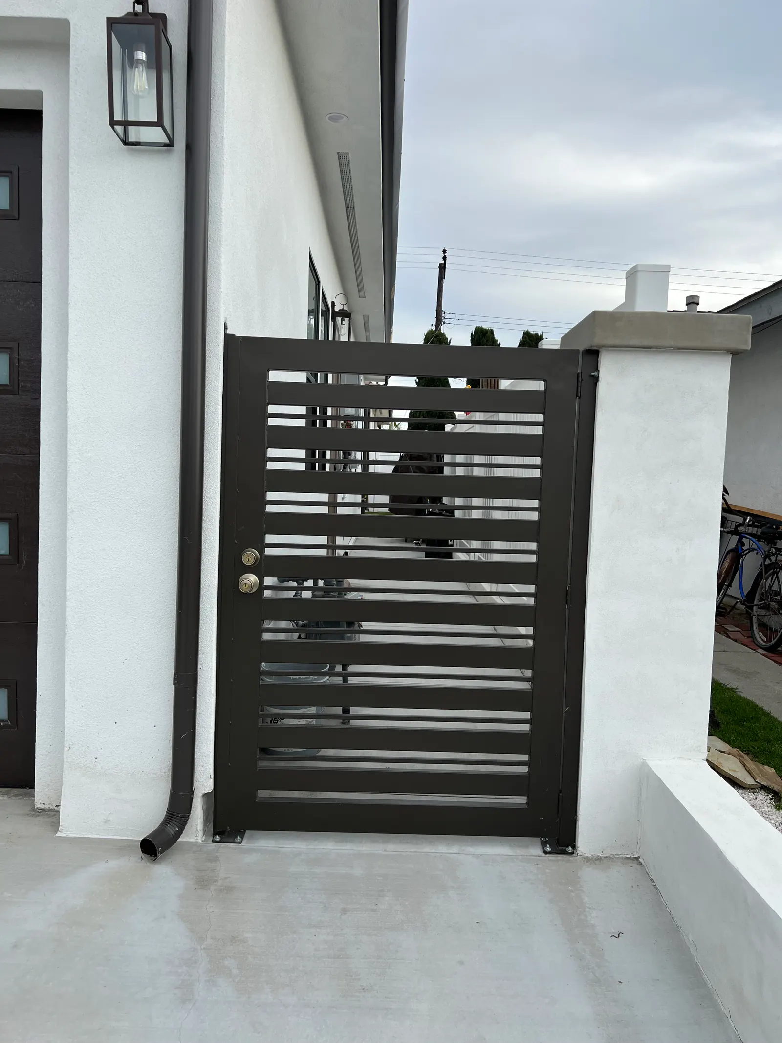 Modern Steel Side Gates