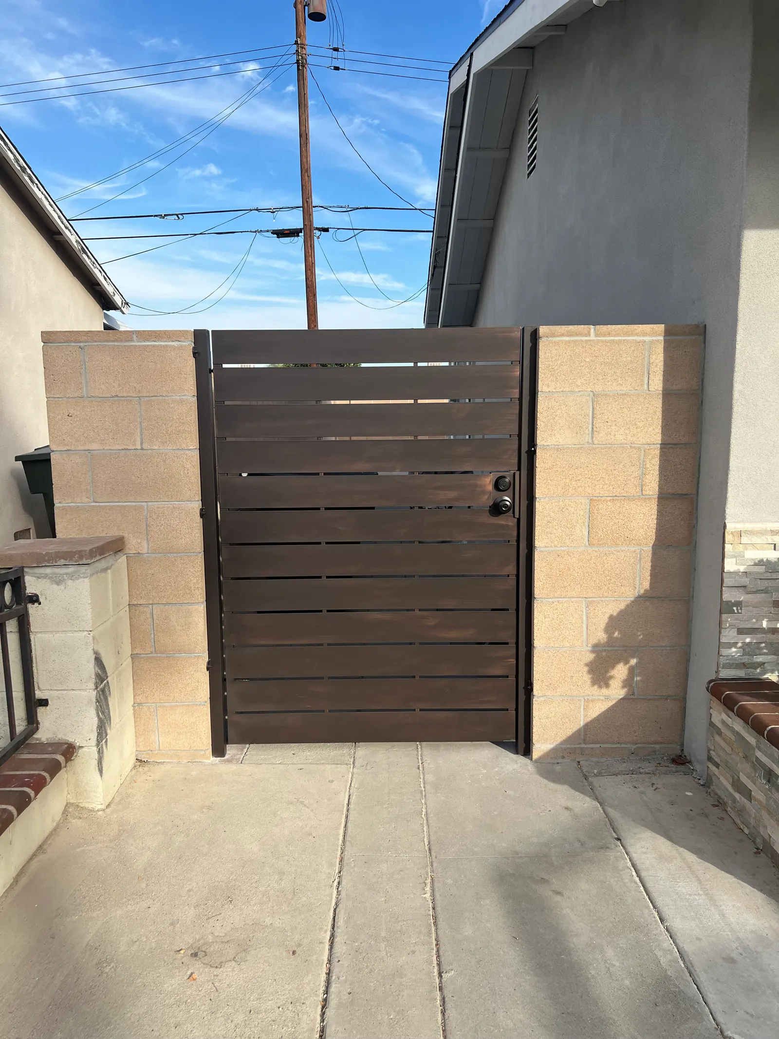 Modern Steel Side Gates
