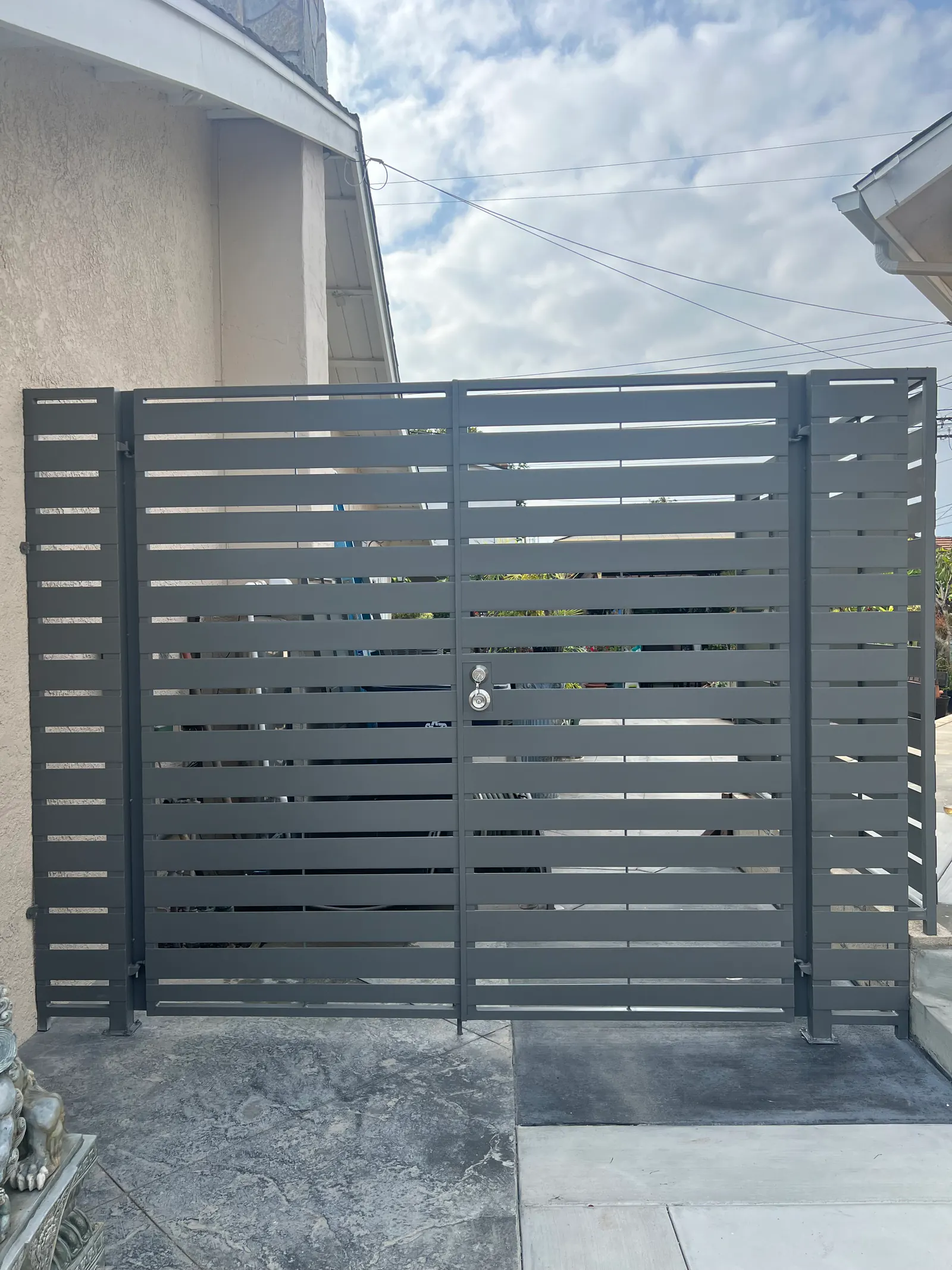 Modern Steel Side Gates
