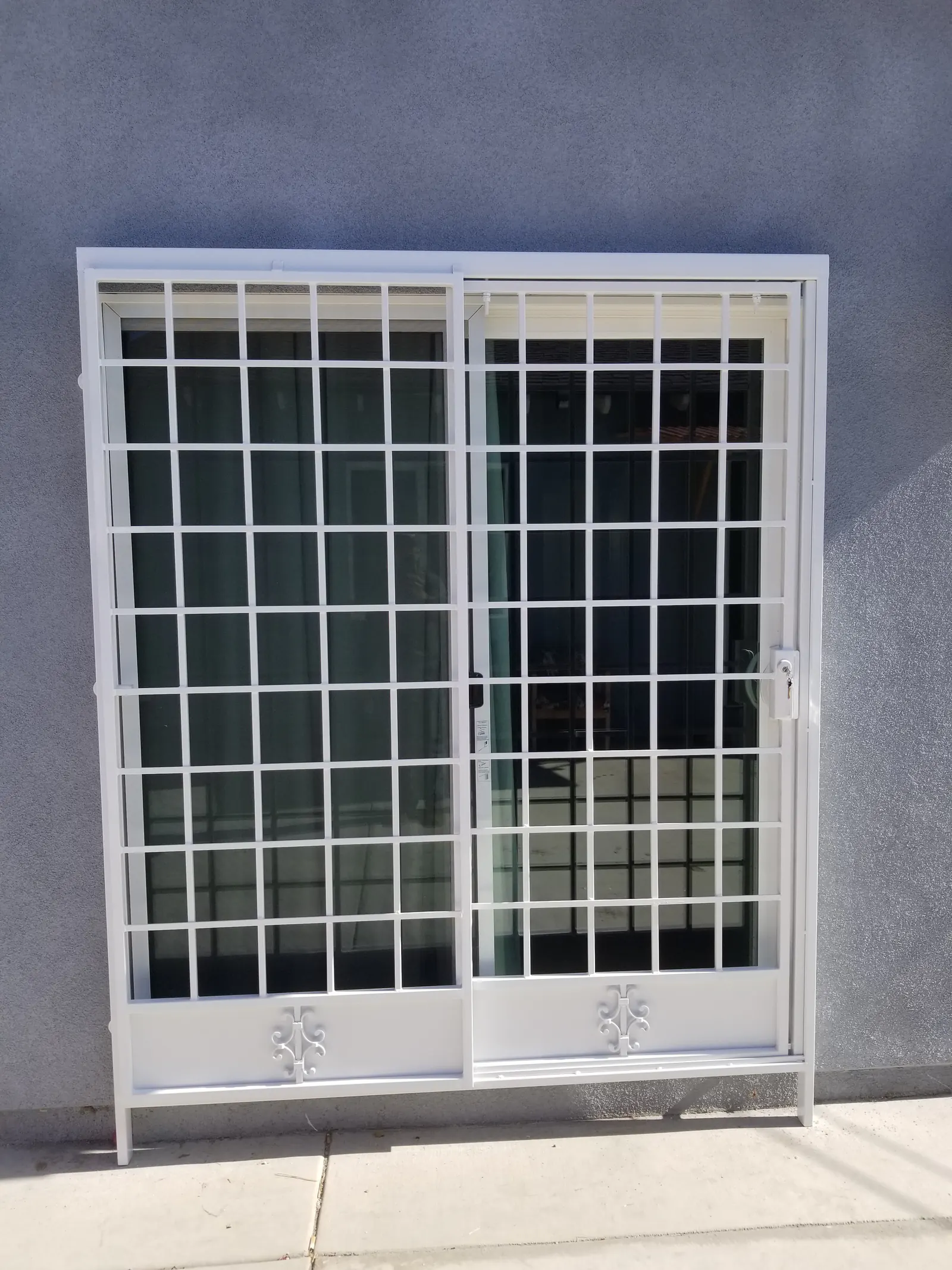 Minimalist Steel Security Doors