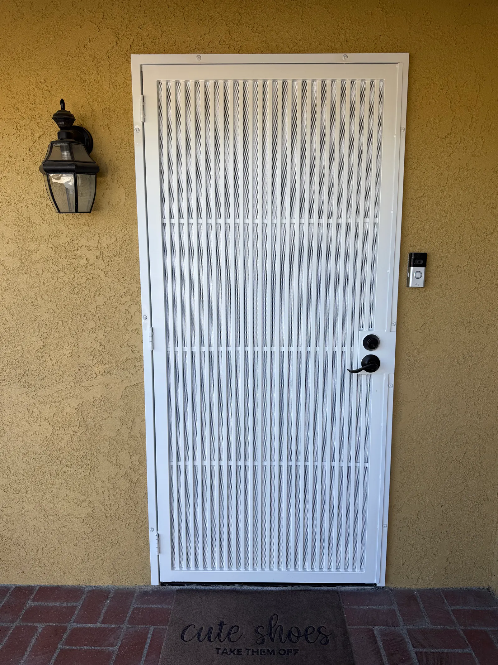 Minimalist Steel Security Doors