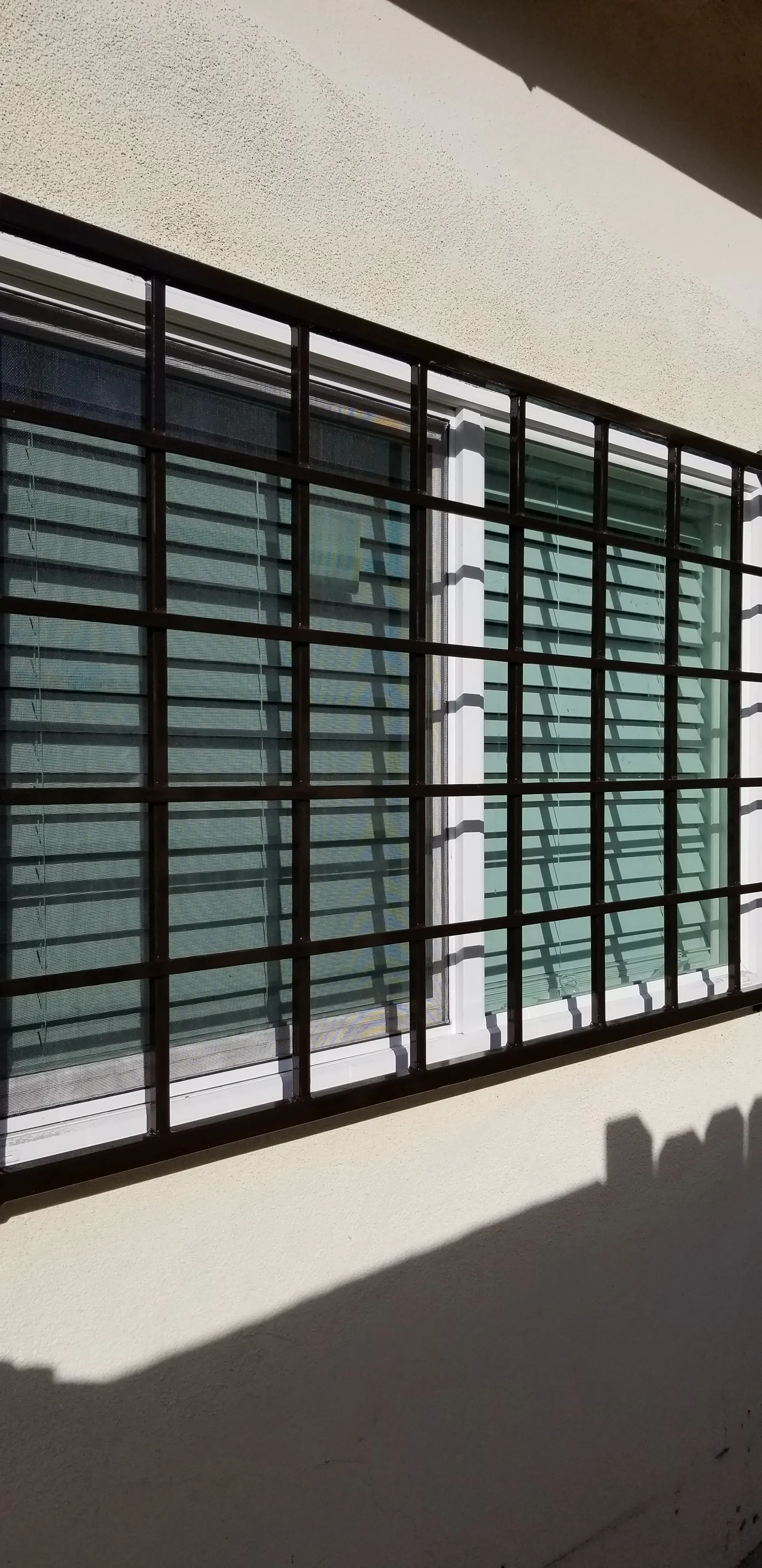 Minimalist Steel Security Windows
