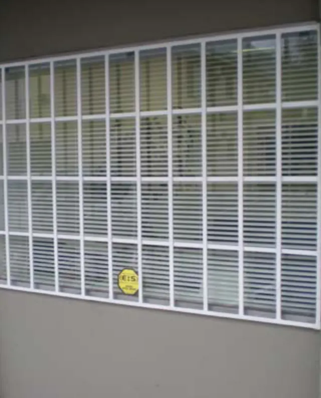 Minimalist Steel Security Windows