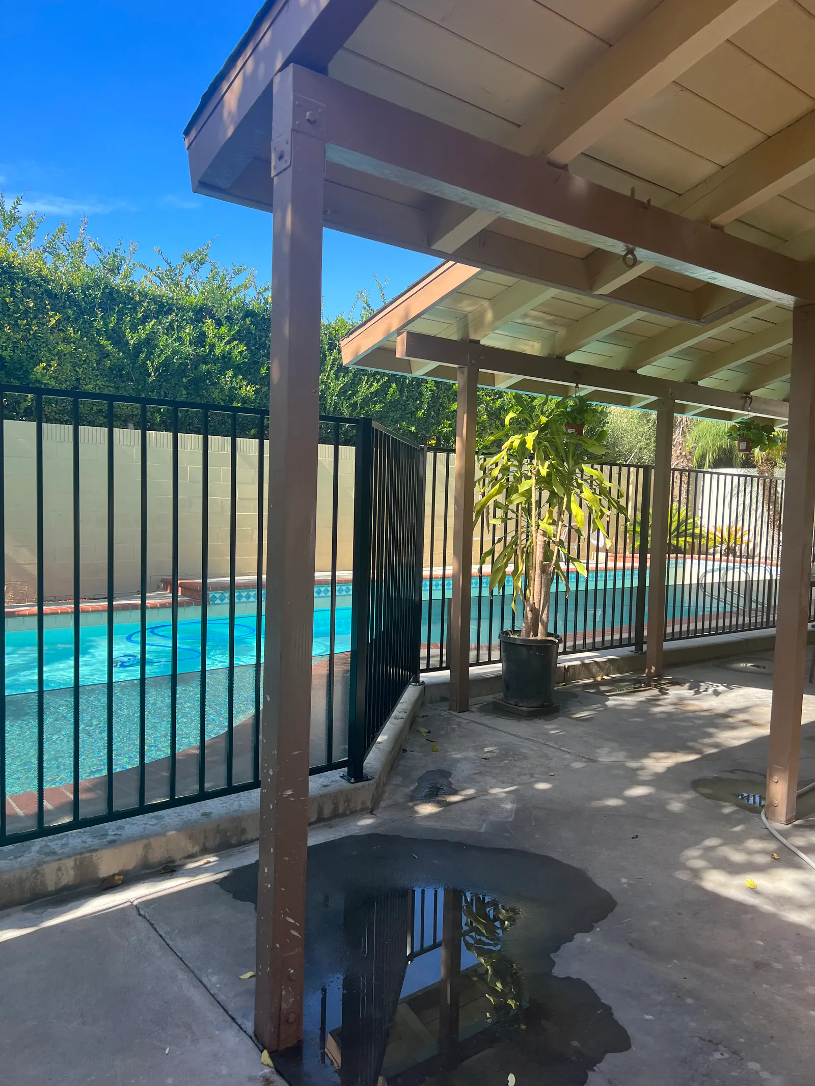 Minimalist Steel Pool Fencing